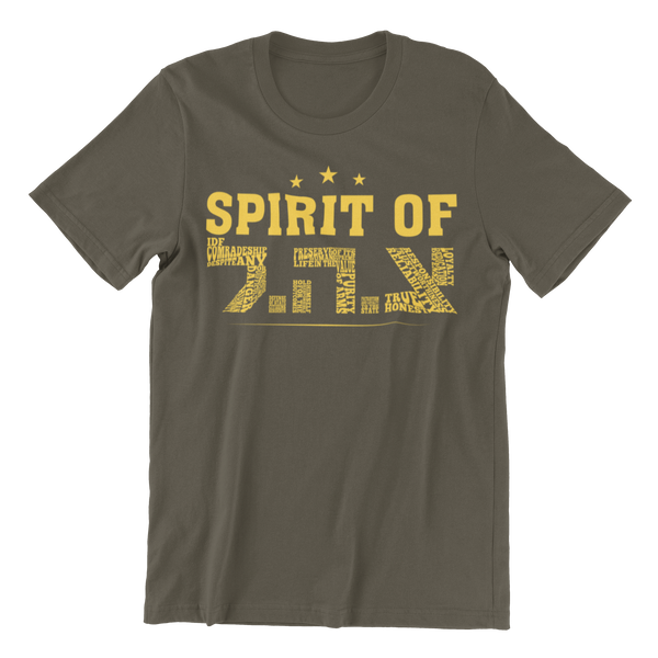 Spirit Of The IDF